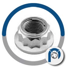 Commercially pure titanium lock nut