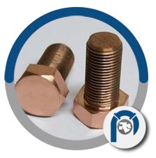 Copper Nickel 70/30 bolt Copper Nickel 70/30 bolt