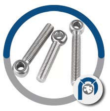 Cp titanium eye bolt anchor Cp titanium eye bolt anchor