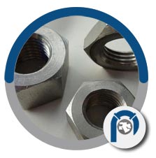 DIN 1.4859 hex bolts
