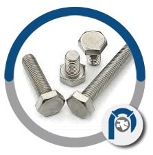 DIN 2.4360 screw