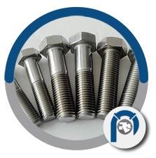 DIN 2.4617 screw DIN 2.4617 screw