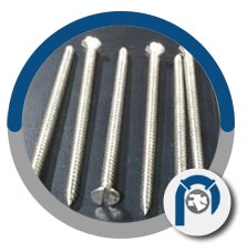 DIN 2.4660 wood screws DIN 2.4660 wood screws