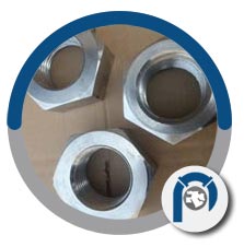 EN 1.4876 Hex Nuts