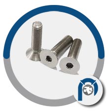 F2281 steel 310 hexagon socket head cap screw F2281 steel 310 hexagon socket head cap screw