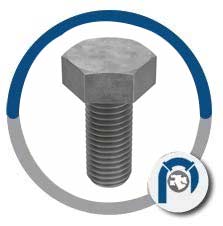 F468 UNS N10276 Heavy Hex Bolt
