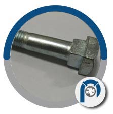 F60 Duplex Square Bolt