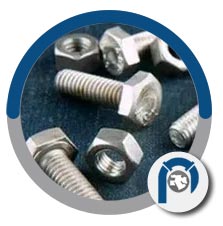 Hastelloy 2.4602 bolts