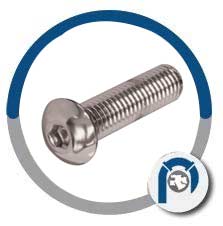 Hastelloy N10276 Allen Head Screw
