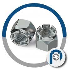 Hex Castle Nuts 