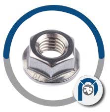 Hex Flange Nut
