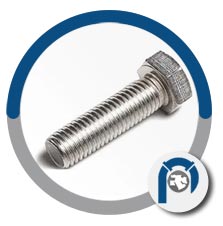 Incoloy 800 bolts