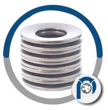 Inconel Disc Springs Inconel Disc Springs