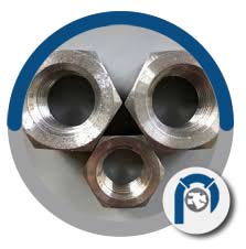 Inconel steel heavy hex nuts
