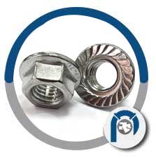 Metric Flange Nuts 