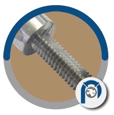 Molly Panel Screw Molly Panel Screw