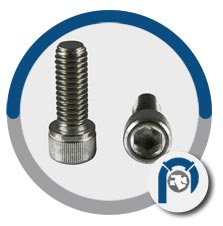 Molybdenum Alloy Cap Screws Molybdenum Alloy Cap Screws