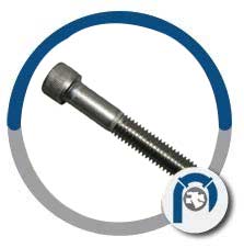 Monel N04400 Cap Head Screw