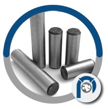 NCF 800H dowel pin NCF 800H dowel pin