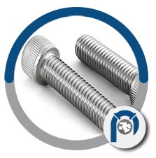 Ni 2.4066 socket head cap screw Ni 2.4066 socket head cap screw