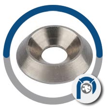 Ni 200 Material countersunk washer Ni 200 Material countersunk washer