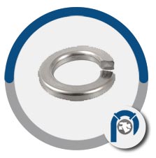 Nickel Alloy B409 N08120 Lock Washer