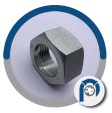 Nickel alloy C22 nuts