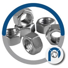Nickel X-750 Hex Nuts Nickel X-750 Hex Nuts