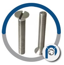 Pure Tantalum Countersunk Screw Pure Tantalum Countersunk Screw