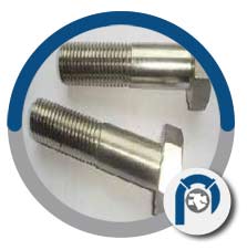 Pure titanium alloy stone bolt Pure titanium alloy stone bolt