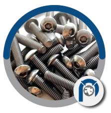 Pure titanium headed anchor bolts Pure titanium headed anchor bolts