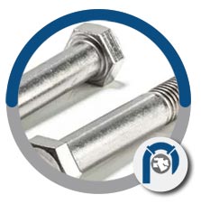 Raw Tantalum Heavy Hex Screws Raw Tantalum Heavy Hex Screws