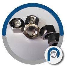 SA 182 F60 UNS S32205 Hexagon Nut