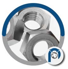 SA182 F53 Hex Nut