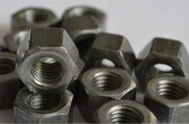 SA193 Hex Nuts