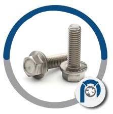 SA320 B8m Flange Bolts SA320 B8m Flange Bolts