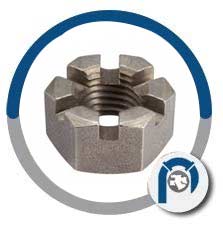 Slotted Hex Nut 