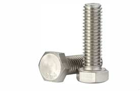 SS 304 Hex Head Bolts