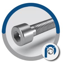 SS 316L A4-80 socket screws SS 316L A4-80 socket screws