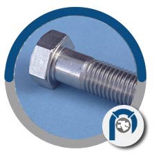 SS 317L Bolts SS 317L Bolts