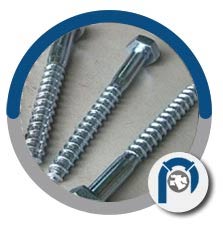 SS 317L Hex Head Screw SS 317L Hex Head Screw