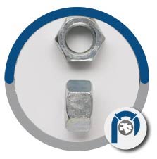 SS 317L Hex Nut SS 317L Hex Nut
