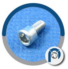 SS 317L Socket Head Cap Screw SS 317L Socket Head Cap Screw