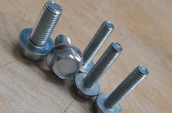 SS Automotive Flange Bolts