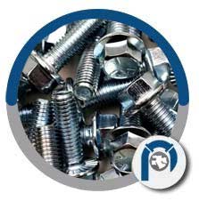 SS Automotive Flange Bolts