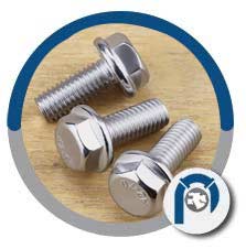SS Flanged Hexagon Bolts