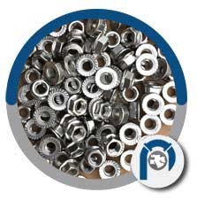 Ss Hex Flange Nuts