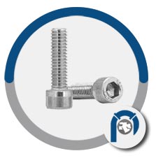 Stainless steel F2281 321 allen head screw Stainless steel F2281 321 allen head screw