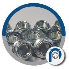Stainless Steel Flange Lock Nuts