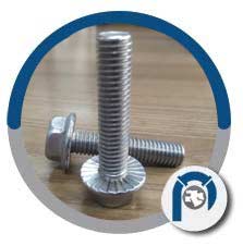 Stainless Steel Hex Flange Bolts